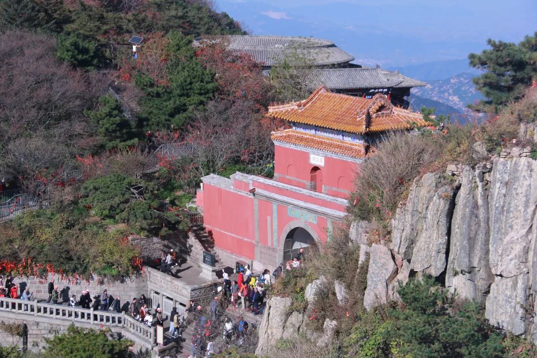 我們一起，頂峰相見 
